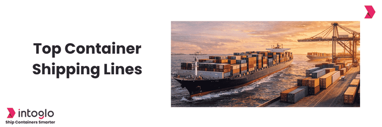 Top 10 Biggest Container Shipping Companies in 2026 | Intoglo Blog